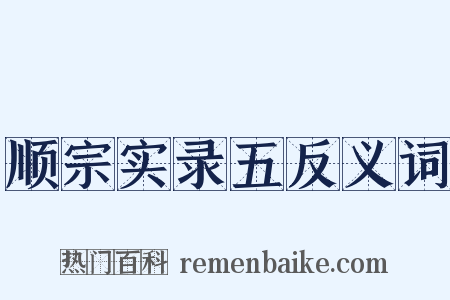 顺宗实录五反义词是什么意思的图片